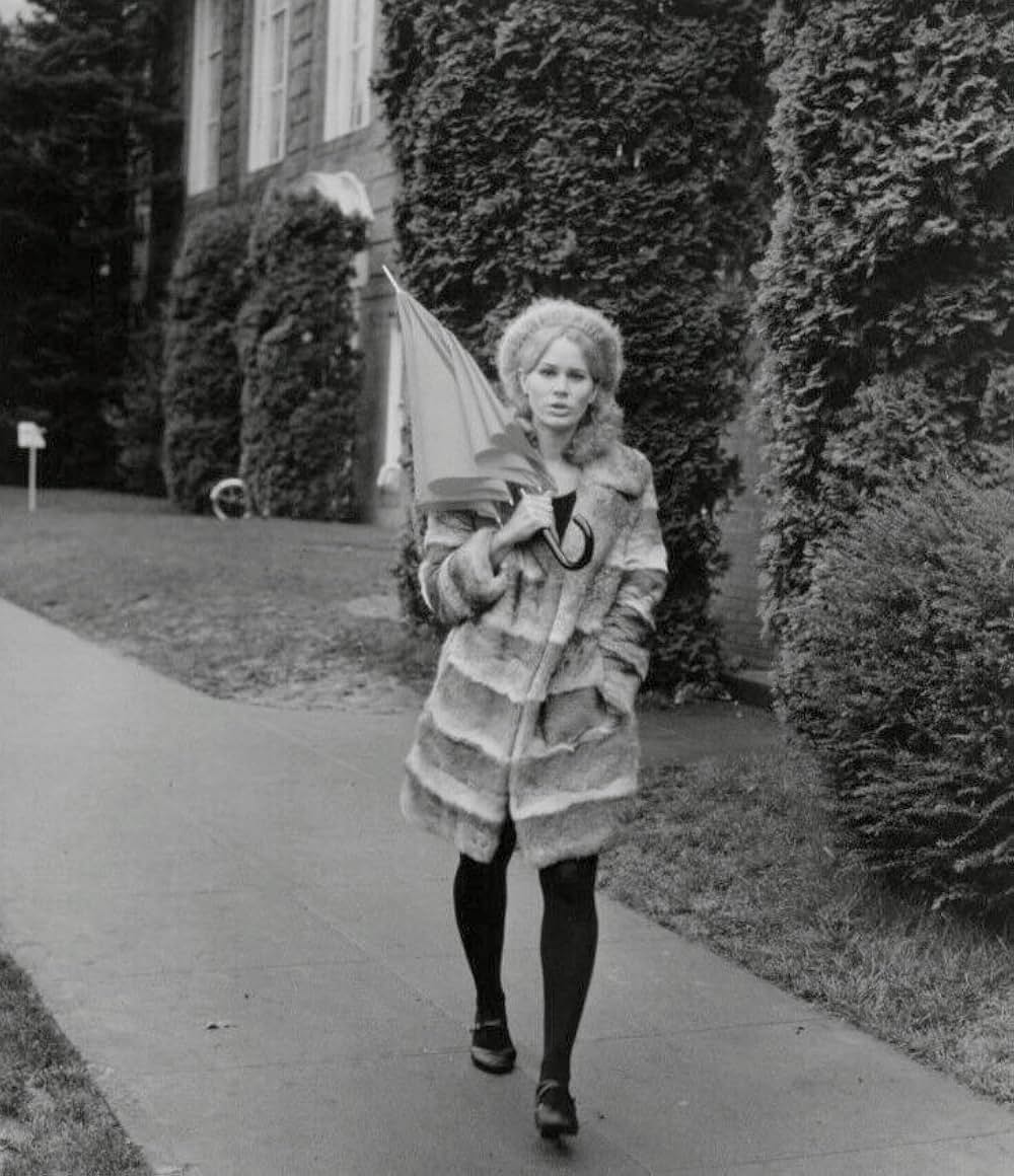 Drive, He Said（原題）の画像