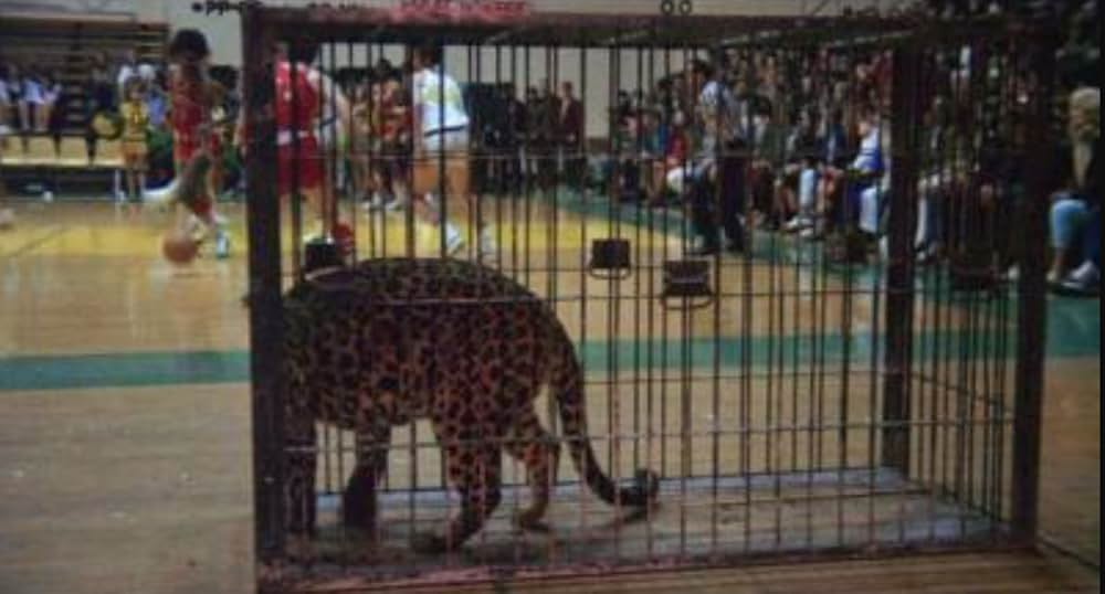 Drive, He Said（原題）の画像