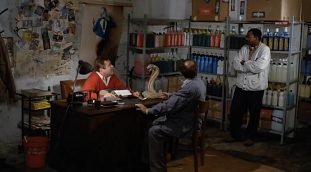 狂人日記の画像