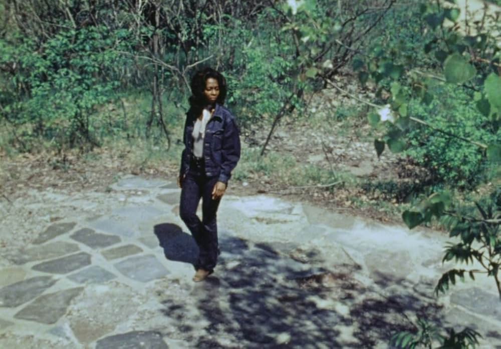 Death Bed: The Bed That Eats（原題）の画像