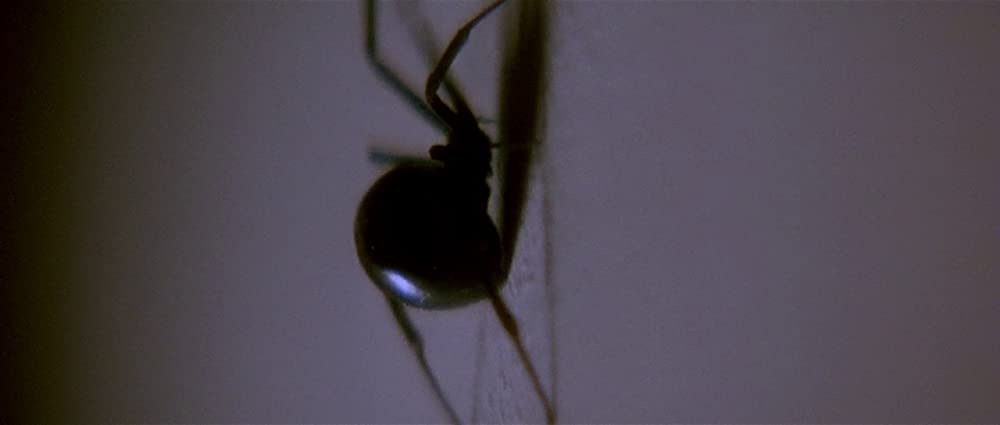 ロスト ハイウェイ 解説 レビュー 評価 映画ポップコーン