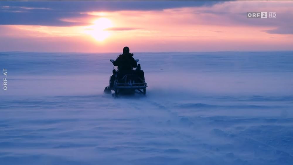 ホッキョクグマ・ファミリーの画像