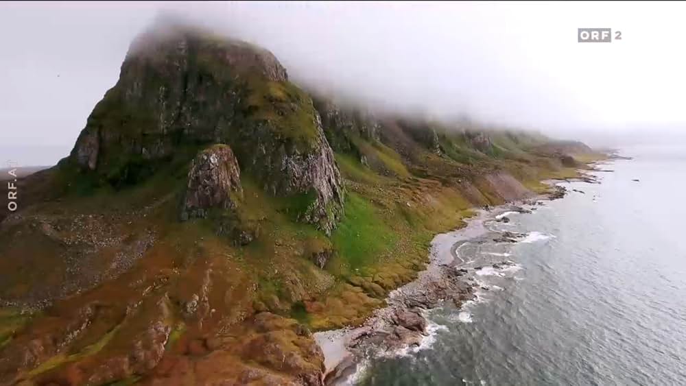 ホッキョクグマ・ファミリーの画像