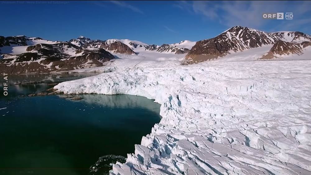 ホッキョクグマ・ファミリーの画像