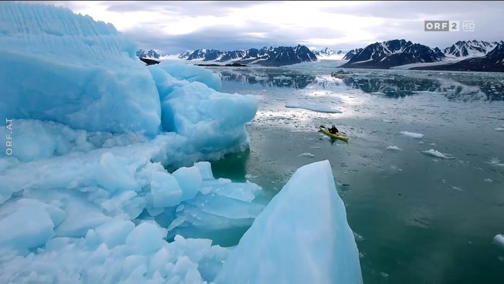 ホッキョクグマ・ファミリーの画像