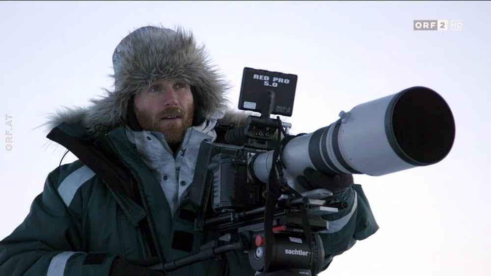 ホッキョクグマ・ファミリーの画像