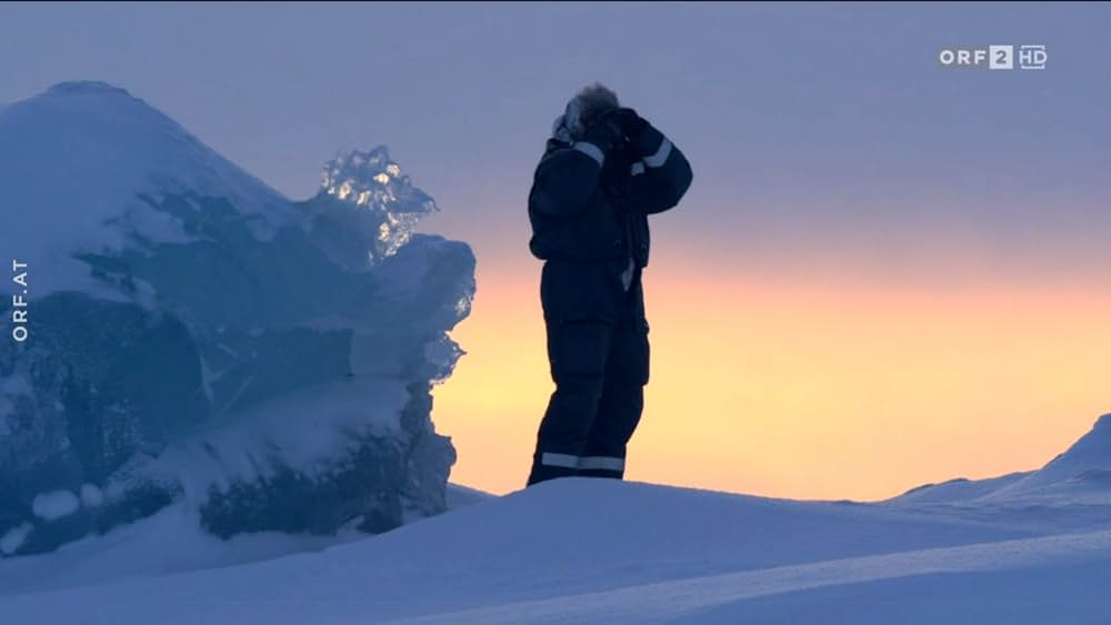 ホッキョクグマ・ファミリーの画像