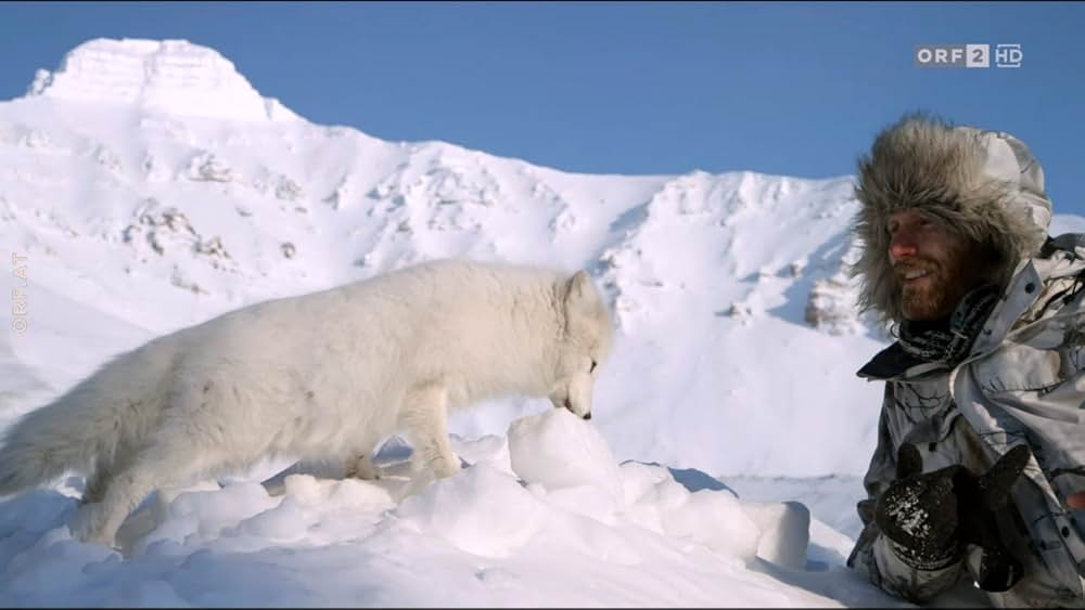 ホッキョクグマ・ファミリーの画像