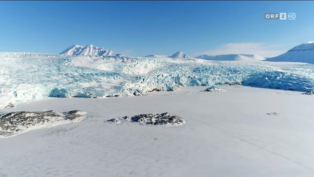 ホッキョクグマ・ファミリーの画像