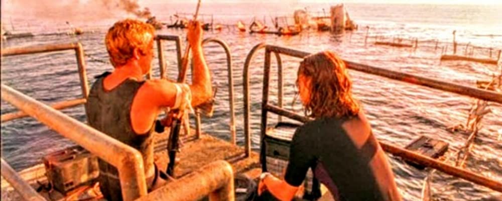 ディープ・ブルーの画像