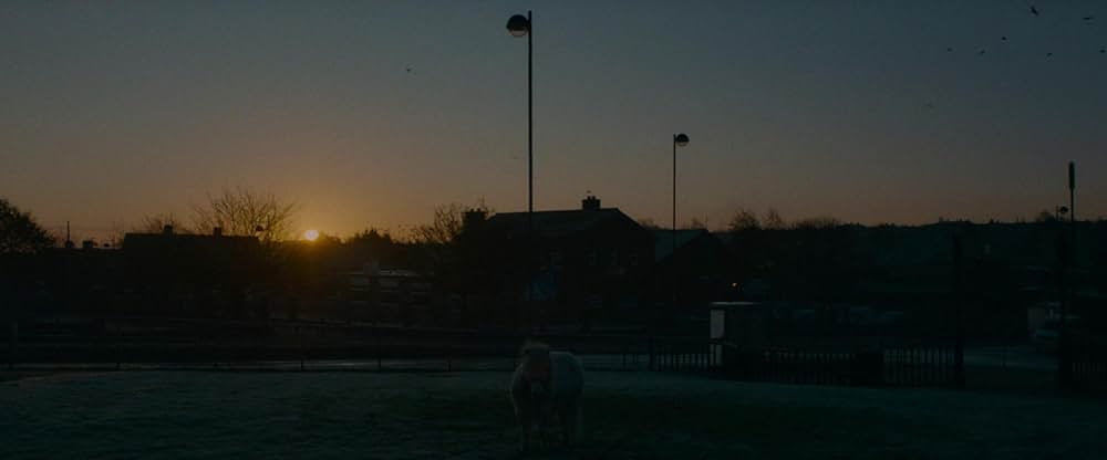 Ali & Ava（原題）の画像