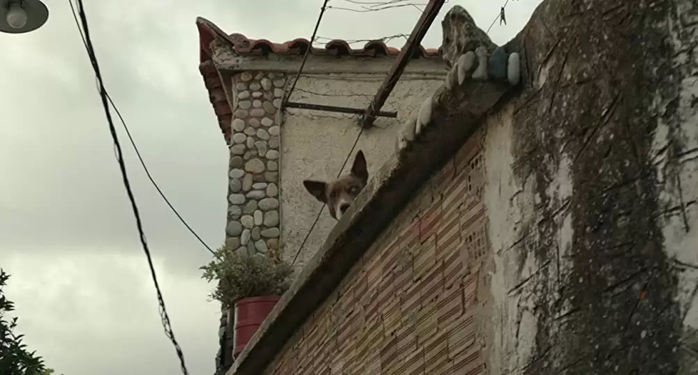 ビフォア・ミッドナイトの画像