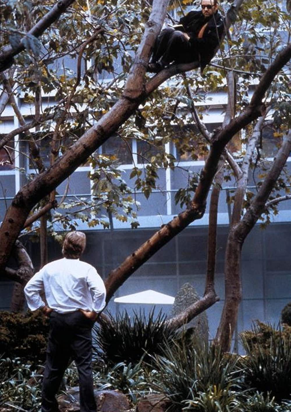 光の旅人 K-PAXの画像