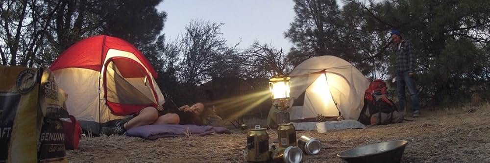 チュパカブラテリトリーの画像