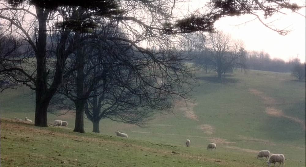 Witchfinder General（原題）の写真