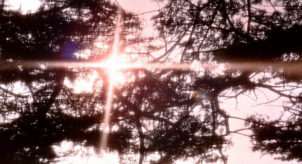 Witchfinder General（原題）の画像