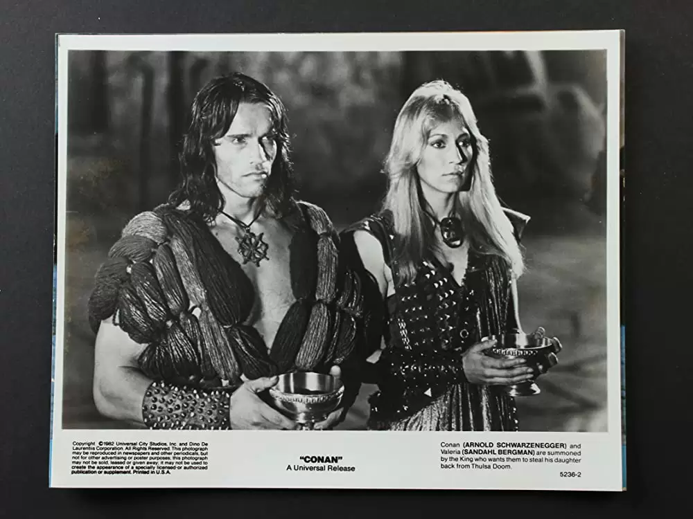 コナン・ザ・グレートの画像