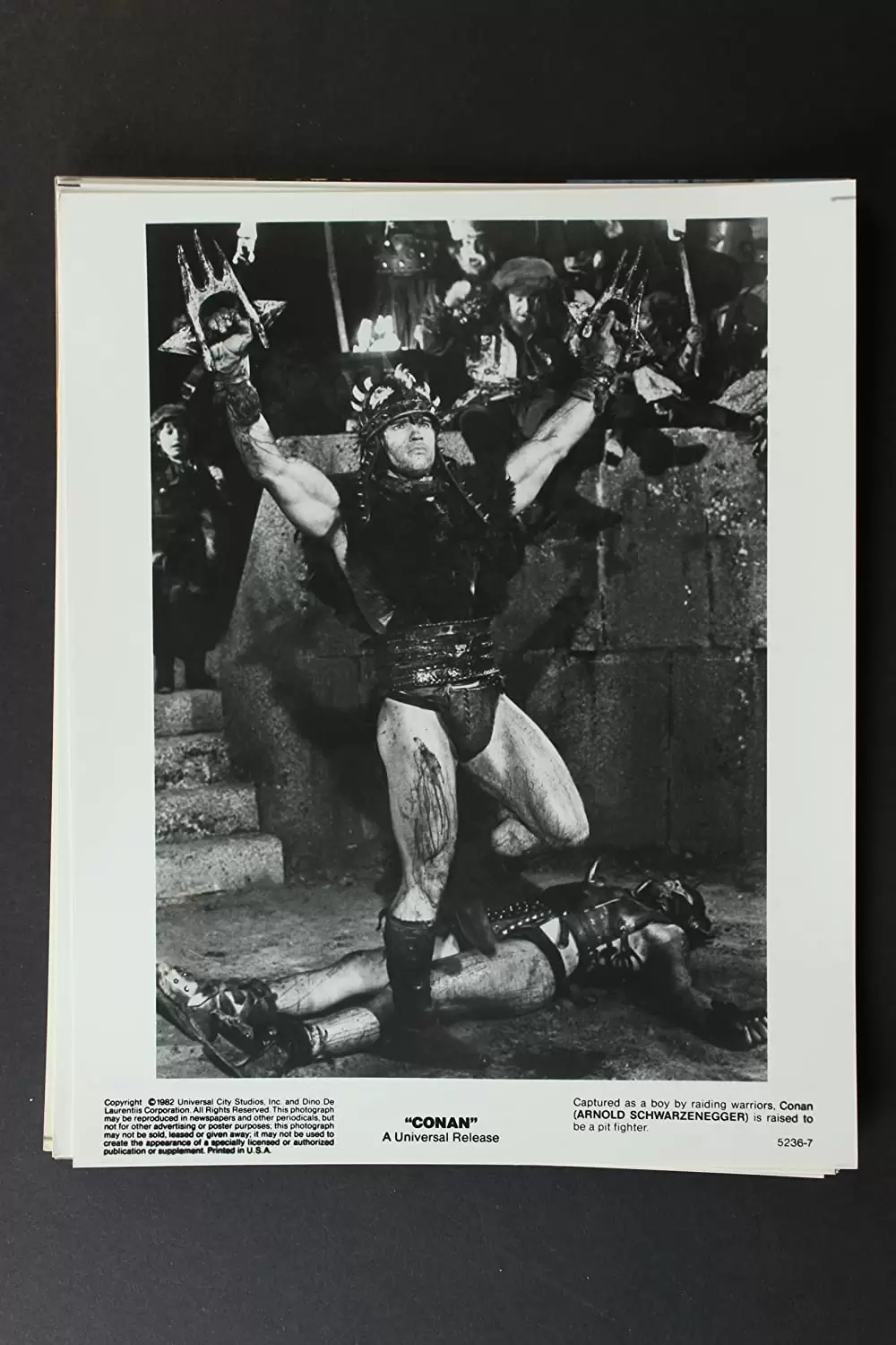 コナン・ザ・グレートの画像