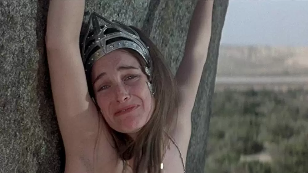 コナン・ザ・グレートの画像