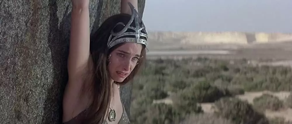 コナン・ザ・グレートの画像