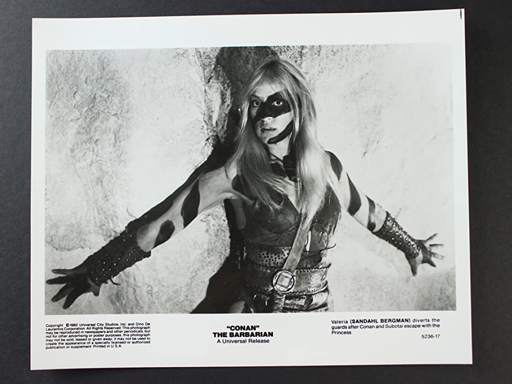 コナン・ザ・グレートの画像