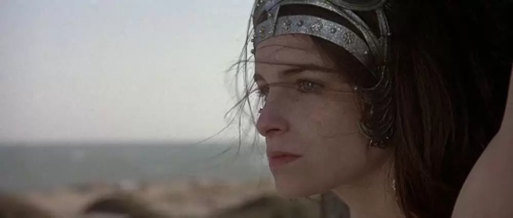 コナン・ザ・グレートの画像