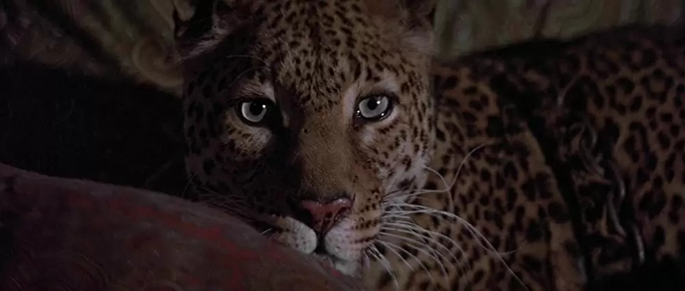 コナン・ザ・グレートの画像