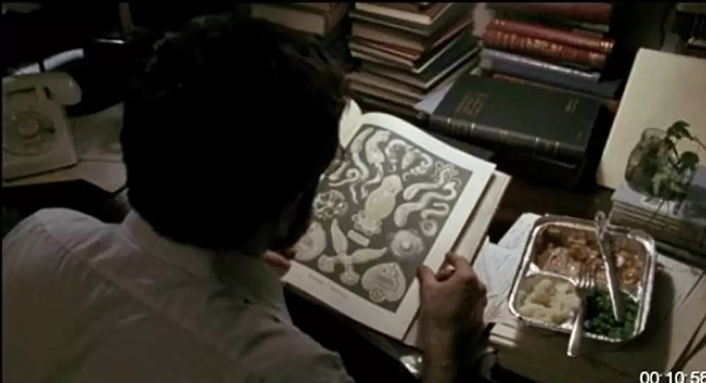 レナードの朝の画像