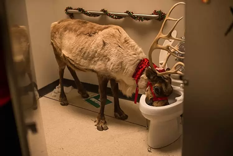 「クレイジー・パーティー」の画像