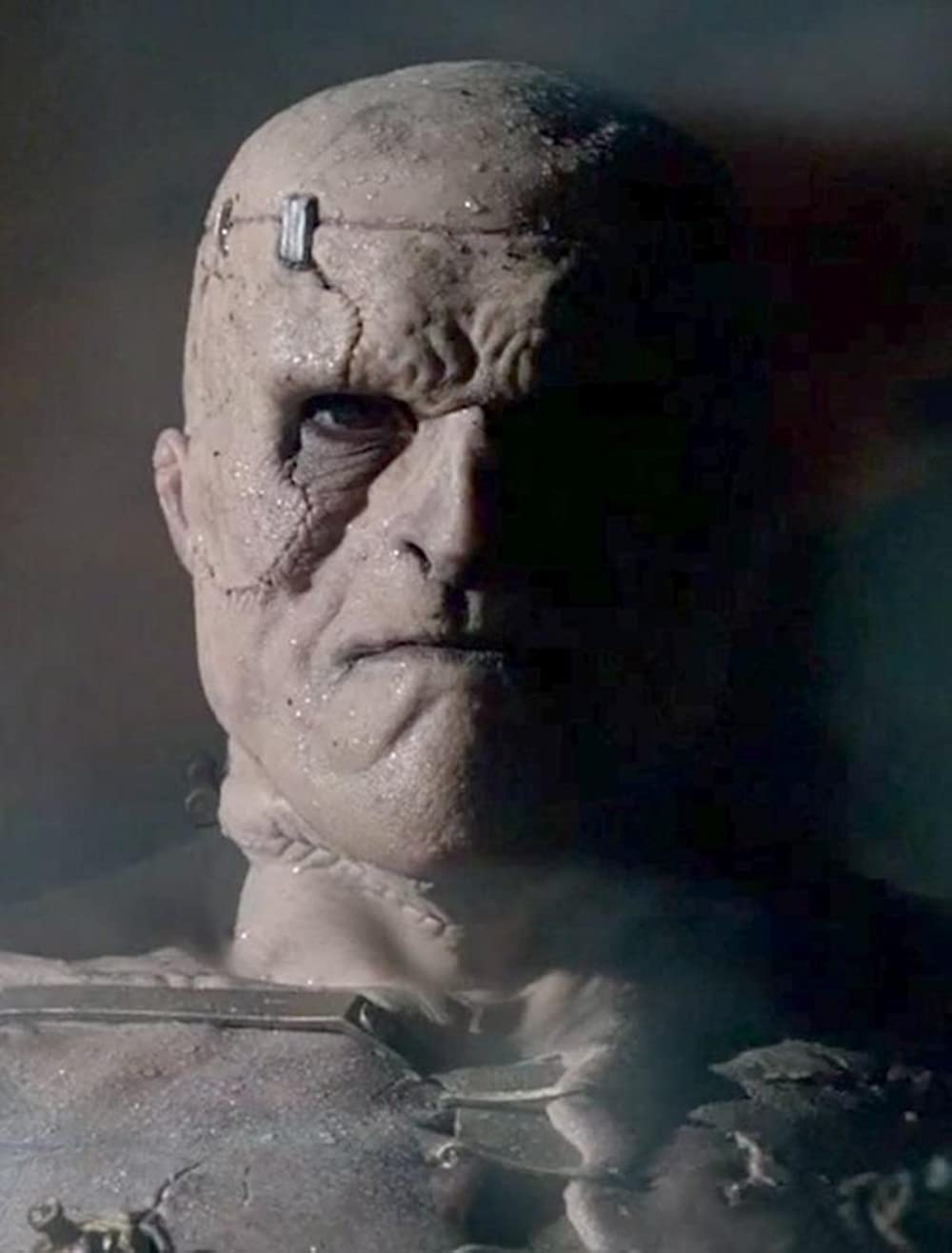 ヴィクター・フランケンシュタインの画像