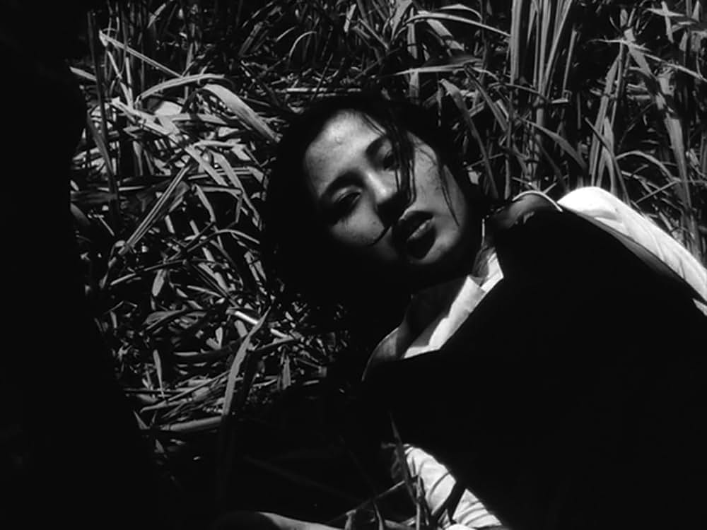 異邦人の河の画像