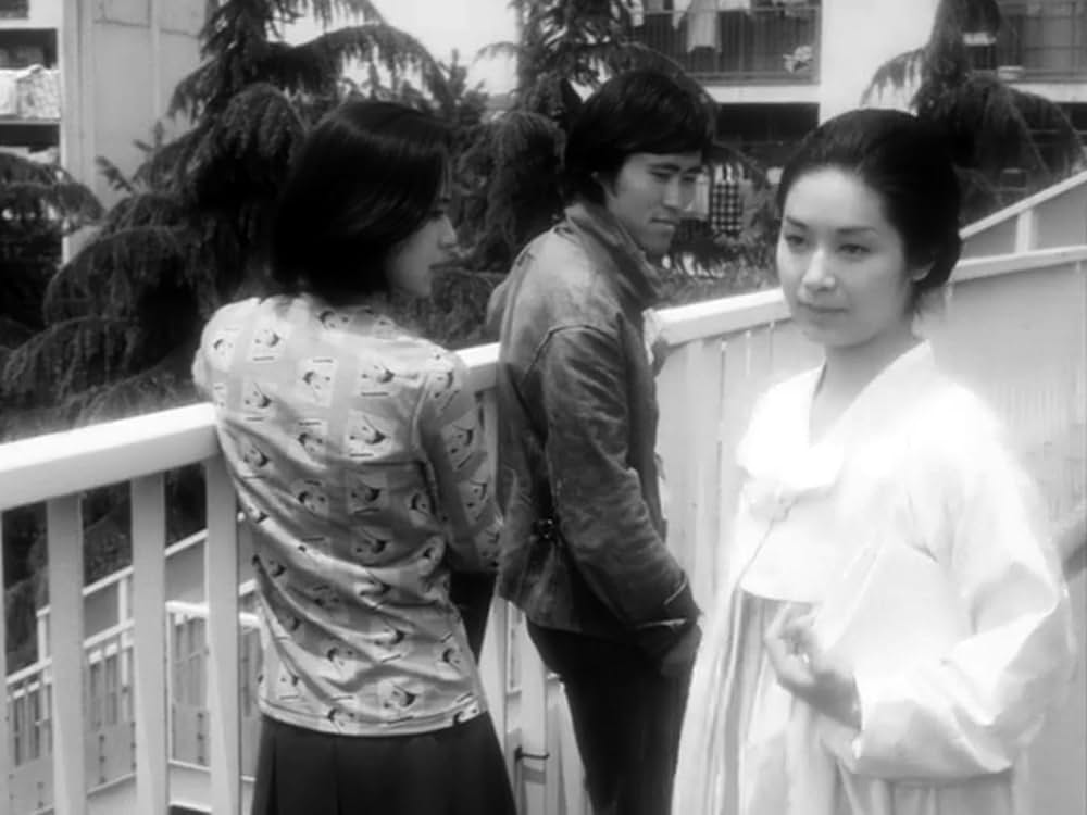 異邦人の河の画像