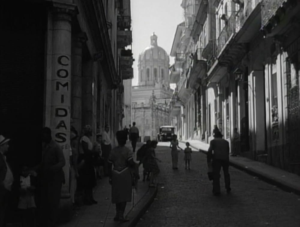 パスポートのない女の画像