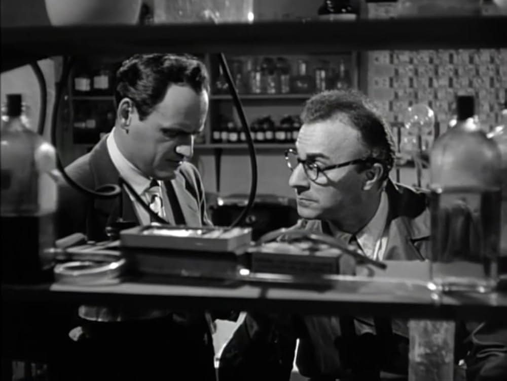 パスポートのない女の画像