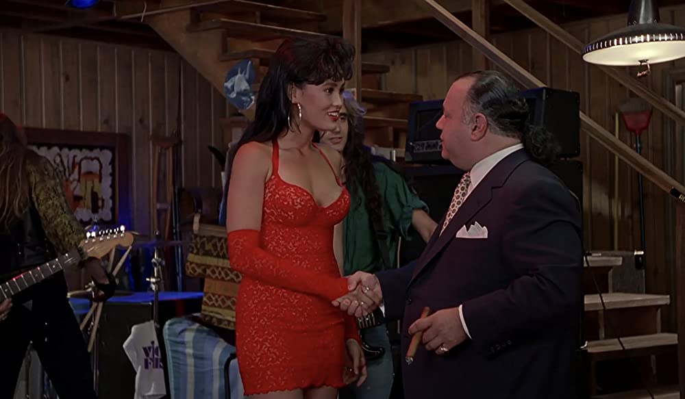 ウェインズ・ワールドの画像