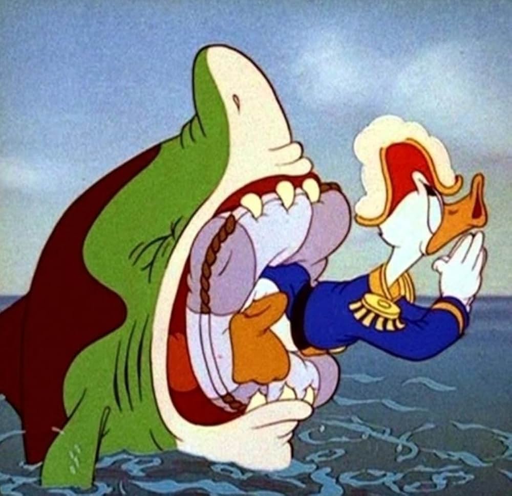 ドナルドの海洋団の写真