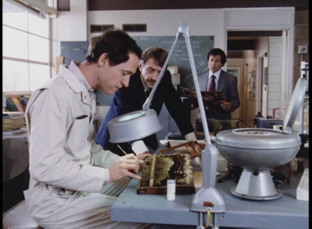 キラー・ビー２／殺人蜂ミサイルタウン大襲撃の画像