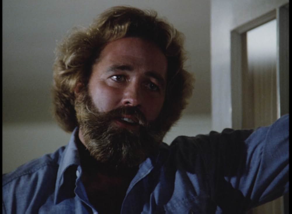 キラー・ビー２／殺人蜂ミサイルタウン大襲撃の画像