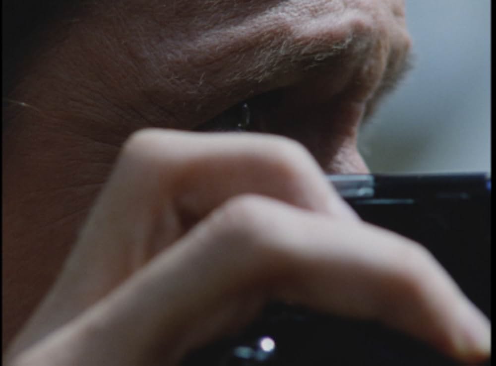 キラー・ビー２／殺人蜂ミサイルタウン大襲撃の画像