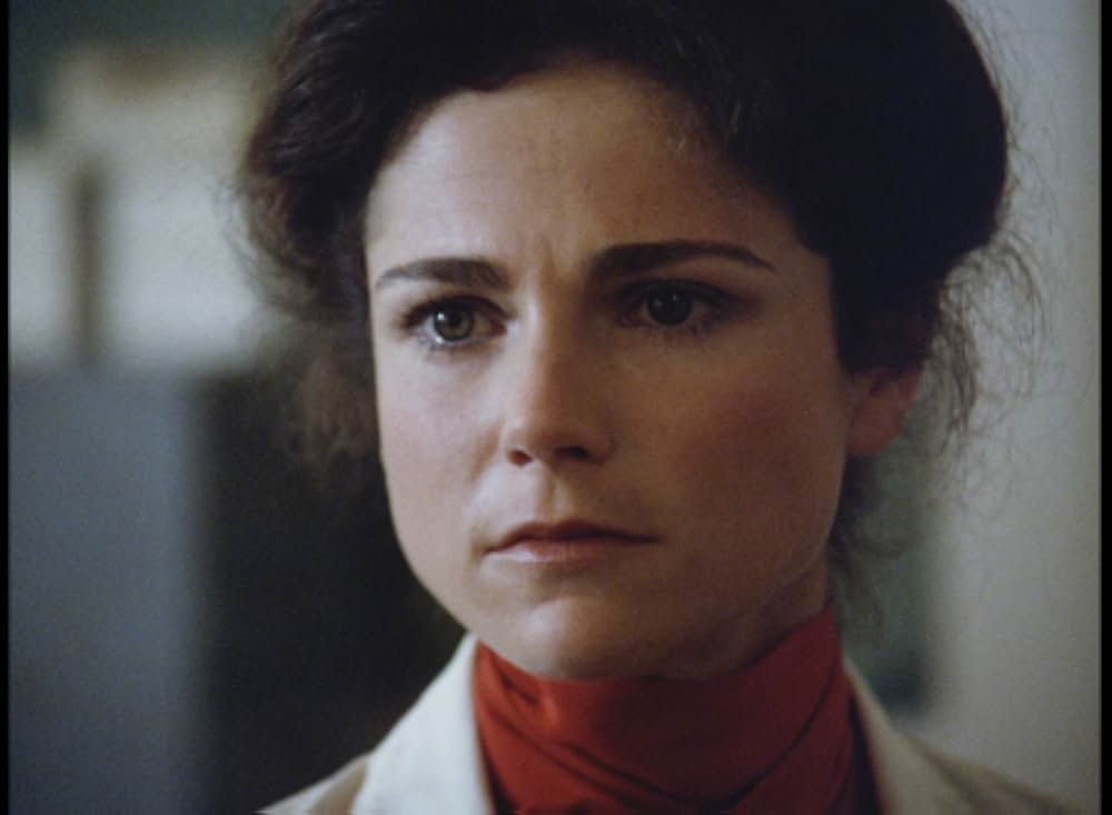 キラー・ビー２／殺人蜂ミサイルタウン大襲撃の画像