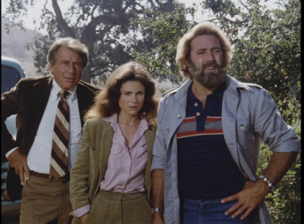 キラー・ビー２／殺人蜂ミサイルタウン大襲撃の画像