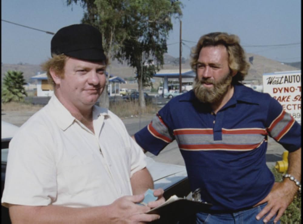 キラー・ビー２／殺人蜂ミサイルタウン大襲撃の画像