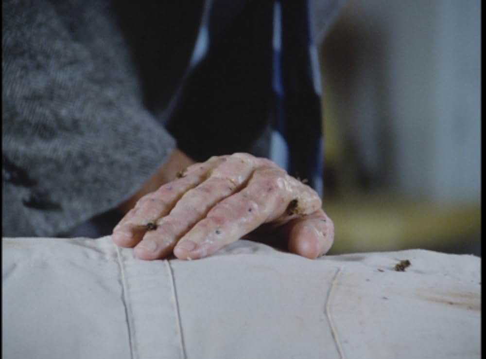 キラー・ビー２／殺人蜂ミサイルタウン大襲撃の画像