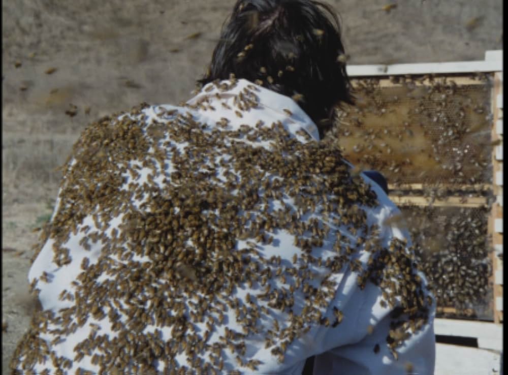 キラー・ビー２／殺人蜂ミサイルタウン大襲撃の画像