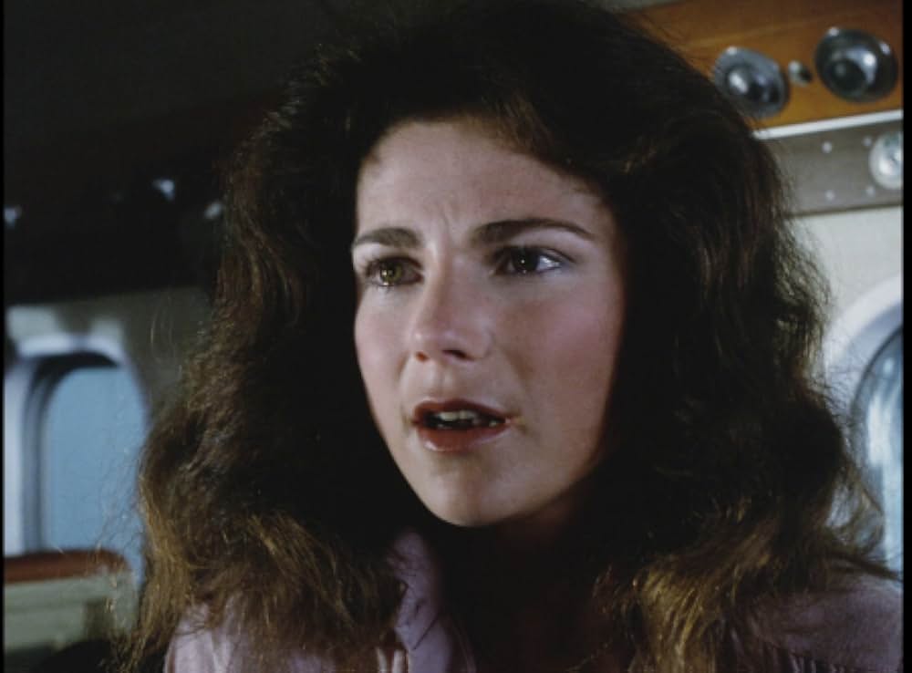 キラー・ビー２／殺人蜂ミサイルタウン大襲撃の画像