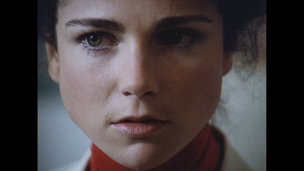 キラー・ビー２／殺人蜂ミサイルタウン大襲撃の画像