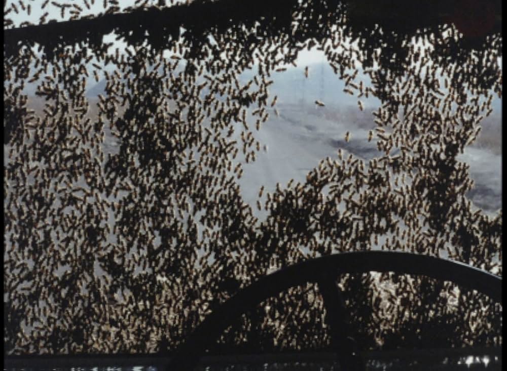 キラー・ビー２／殺人蜂ミサイルタウン大襲撃の画像