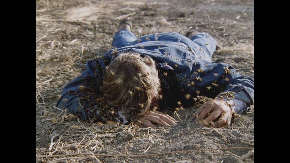 キラー・ビー２／殺人蜂ミサイルタウン大襲撃の画像