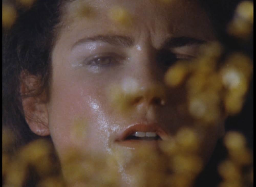 キラー・ビー２／殺人蜂ミサイルタウン大襲撃の画像