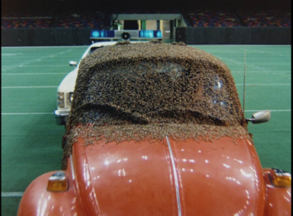 キラー・ビー２／殺人蜂ミサイルタウン大襲撃の画像